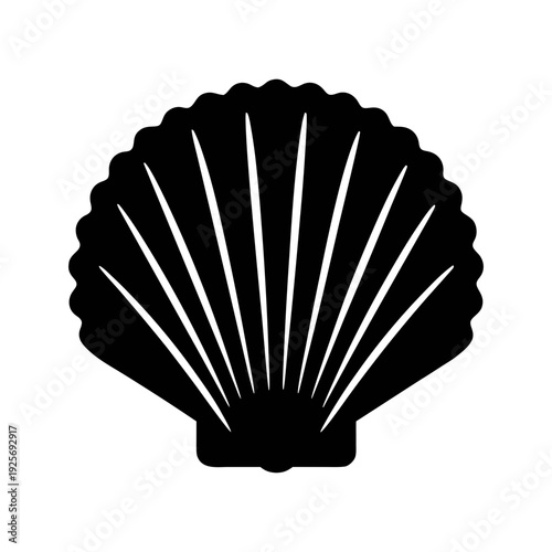 Vector graphic of scallop shell sea life ocean beach seashell marine animal seafood design element icon art