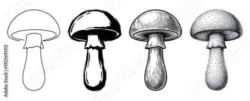 Four black and white mushroom illustrations showing different artistic techniques including simple line art, bold ink brush, vintage engraving, and modern stippling