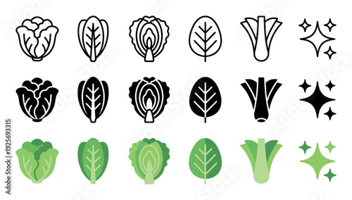 Leafy green vegetable icon collection featuring cabbage, romaine lettuce, spinach leaf, and celery in outline, silhouette, and colorful flat vector illustration styles