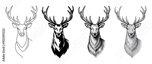 Collection of four deer head illustrations in different artistic styles, including minimalist one-line art, bold stencil, vintage engraving, and detailed stippling