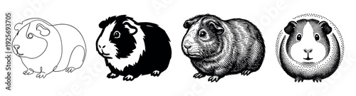Four guinea pig illustrations in different artistic styles including continuous line art, bold silhouette, detailed engraving, and classic stippling for a creative animal concept
