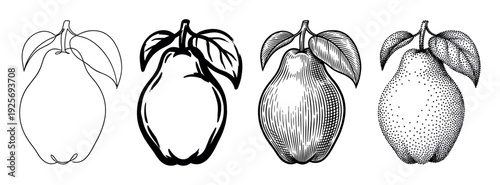 Four black and white pear fruit illustrations showcasing different graphic styles like continuous line art, bold ink outline, vintage woodcut hatching, and stippling dotwork