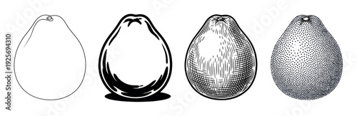 Four black and white pomelo fruit illustrations in a collection of artistic techniques from simple outline and bold graphic to classic woodcut hatching and pointillism