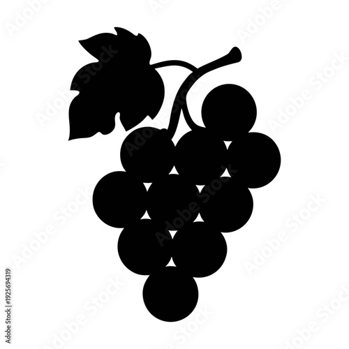 Black grapes vector illustration for wine making and healthy eating concept design element clip art