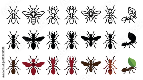 Collection of ant insect icons in various styles including outline, silhouette, and color, showing different types like winged queens, soldiers, and a worker carrying a leaf
