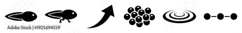 Set of black minimalist icons showing the life cycle of a frog from tadpole to froglet, including frogspawn, an arrow, and water ripple symbols for biology education