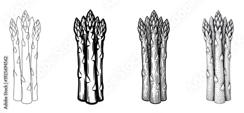 Four asparagus bunches in different artistic styles, a collection of black and white vegetable illustrations showing outline, bold ink, engraving, and stippling techniques