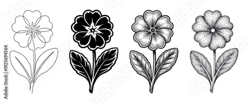 Four primrose flower illustrations in different graphic styles, showing a collection of line art, silhouette, vintage engraving, and modern stippling dotwork techniques