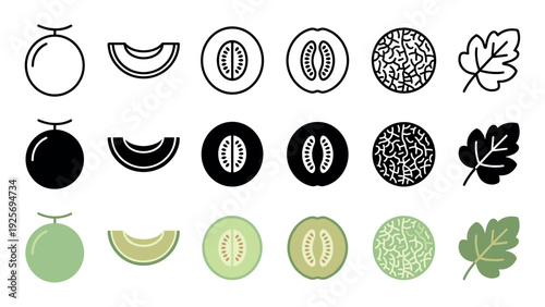Melon fruit icon collection featuring various styles including line art, solid silhouette, and flat color designs of the whole fruit, slice, cross-section, and leaf