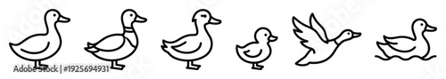 Six cute cartoon duck and duckling icons in a simple black line art style, showing various poses like standing, walking, flying, and swimming in a minimalist collection