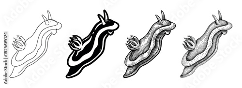 Four black and white sea slug illustrations showing different artistic styles including simple line art, graphic silhouette, vintage engraving, and modern stippling for a design set