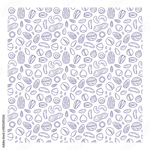 Gourmet Assorted Mixed Nuts with Almonds, Cashews, Pistachios, and Walnuts for Healthy Snack