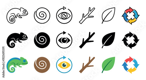 Collection of chameleon and nature icons presented in three distinct styles, including line art, solid silhouette, and colorful flat design vector illustrations