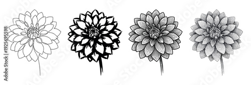 Set of four dahlia flower illustrations showcasing different artistic techniques from simple line art and bold stencil to detailed engraving and stippling dotwork