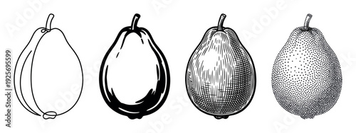 Set of four pear illustrations showcasing different artistic techniques from simple line art to detailed engraving, cross-hatching, and stippling for a vintage, hand-drawn effect