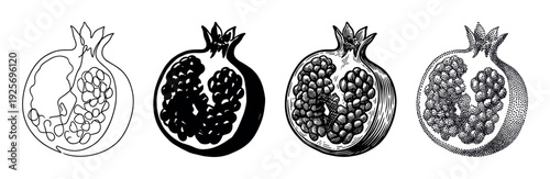 Set of four pomegranate fruit illustrations showing different artistic styles including continuous line art, silhouette, engraving, and stippling in a monochrome design