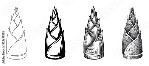 Collection of four bamboo shoot illustrations demonstrating different graphic styles, including minimalist line art, high-contrast ink, vintage engraving, and modern stippling