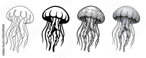 Four black and white jellyfish illustrations presented in a row, showcasing various artistic techniques like continuous line, solid silhouette, vintage engraving, and modern stippling
