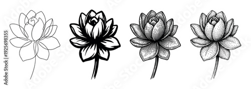 Set of four black lotus flower illustrations showcasing different artistic techniques like continuous line art, bold graphic stencil, vintage engraving, and detailed stippling