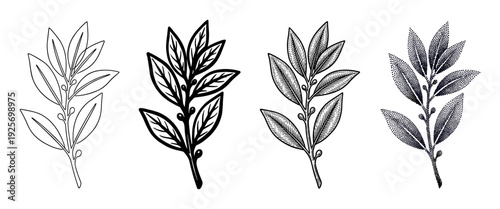 Set of four bay leaf branch illustrations in different artistic graphic styles including simple outline, silhouette, vintage engraving, and modern stippling dotwork