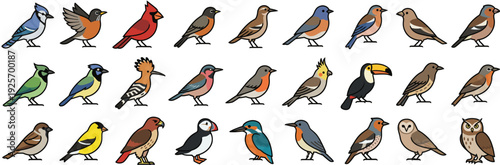 A Collection of Various Bird Species Illustrated in a Flat Design Style
