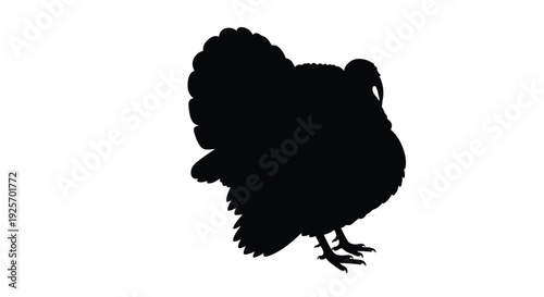 A dark silhouette of a wild turkey facing right detailed silhouette