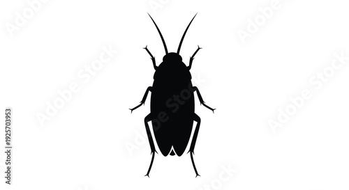 A stark black silhouette of a grasshopper with long antennae