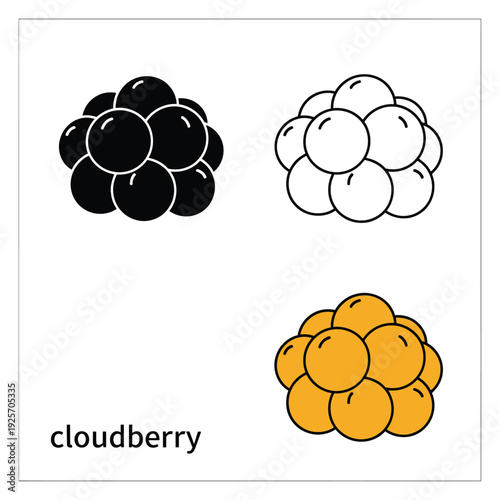 Cloudberry group in different styles isolated on transparent background vector