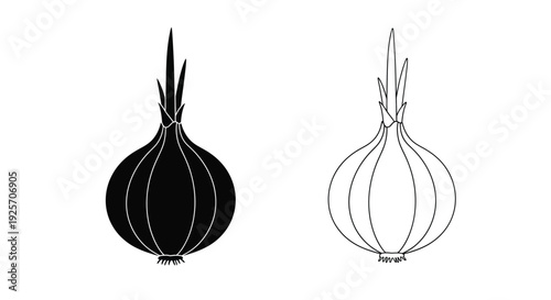 Two onion illustrations one dark and one light in silhouette
