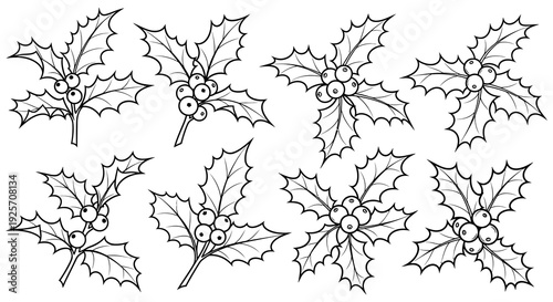 Black and white illustration of holly branches with leaves and red berries