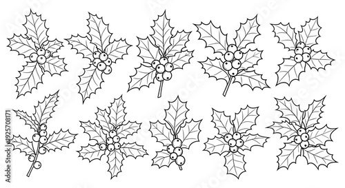 Black and white illustration of holly sprigs with berries arranged in a row