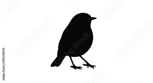 A dark bird perched on a branch a striking silhouette