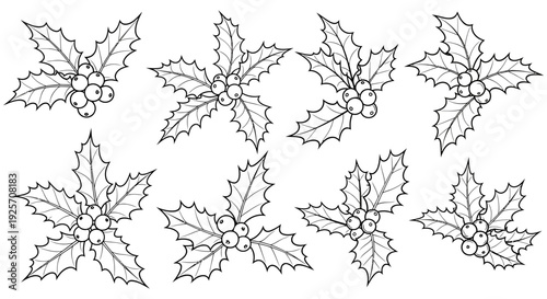 Black and white illustration of holly sprigs with berries arranged in a grid