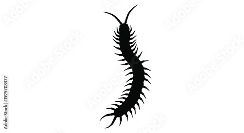 A striking black silhouette of a segmented millipede creature