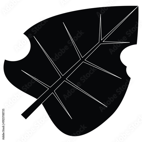 Black leaf silhouette with white veins and leaf damage illustration