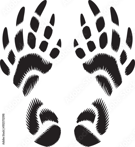Black Bear Paw Prints with Fur Texture