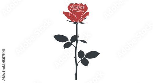 A single red rose with black leaves on a stem