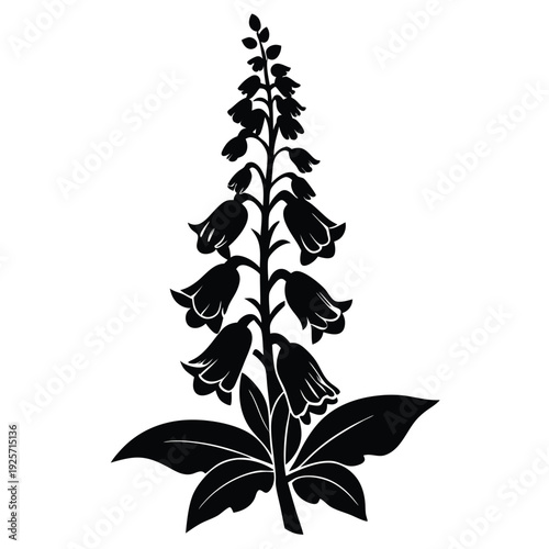 foxglove flower silhouette line art vector illustration with a white background