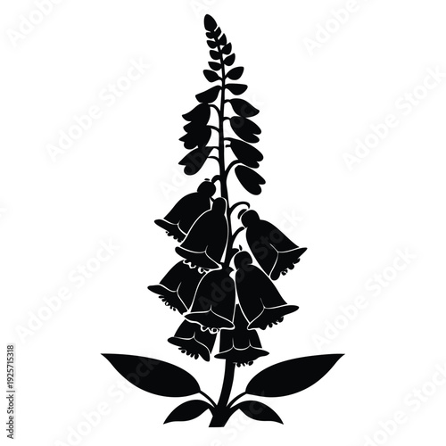 foxglove flower silhouette line art vector illustration with a white background