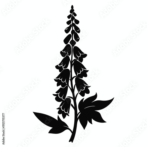 foxglove flower silhouette line art vector illustration with a white background