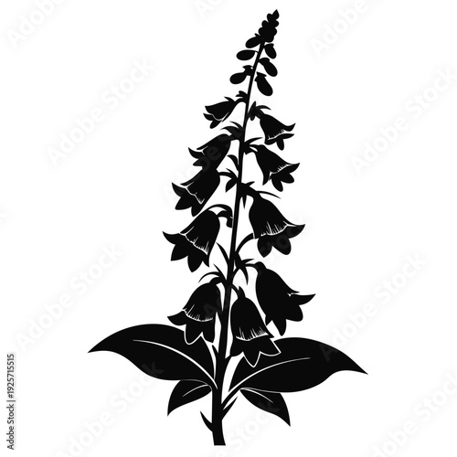 foxglove flower silhouette line art vector illustration with a white background