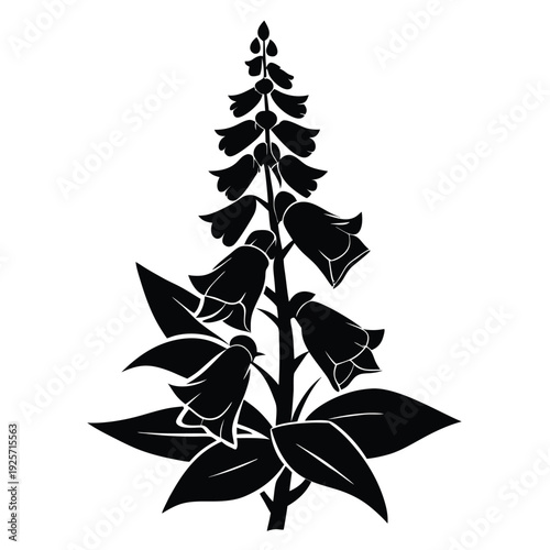 foxglove flower silhouette line art vector illustration with a white background