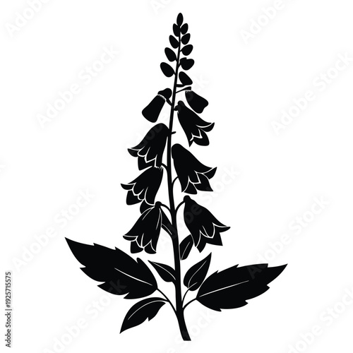 foxglove flower silhouette line art vector illustration with a white background