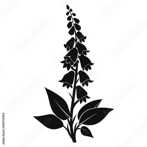 foxglove flower silhouette line art vector illustration with a white background
