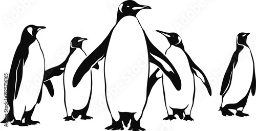 silhouette of a penguin
