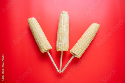 Elotes mexicanos en palillo sobre fondo rojo con textil tradicional colorido