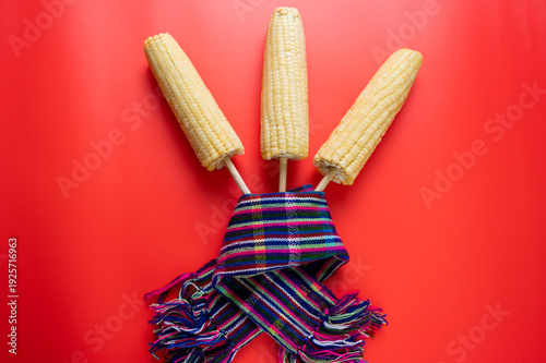 Elotes mexicanos en palillo sobre fondo rojo con textil tradicional colorido