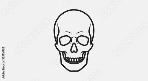 Human Skull Outline Illustration in Bright Studio, Halloween Anatomy Symbol
