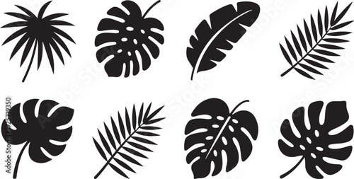 A diverse collection of black tropical plant leaf silhouettes including monstera and banana leaves