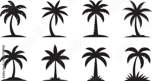 Set of diverse black palm tree silhouettes isolated on a clear white background